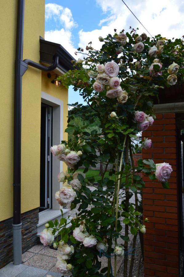 Apartment Kancler Nova Gorica Eksteriør billede